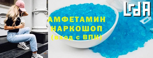 хмурый Верея