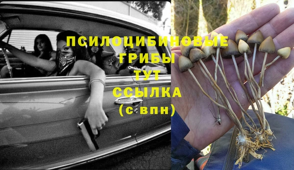 мяу мяу мука Вяземский