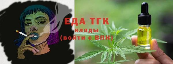 хмурый Верея