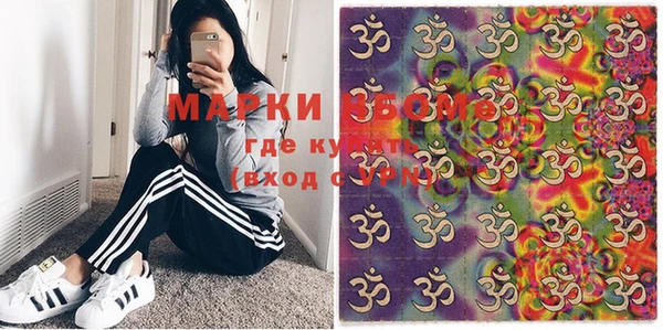 хмурый Верея
