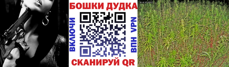 Купить где  Балей  Марихуана MAZAR 